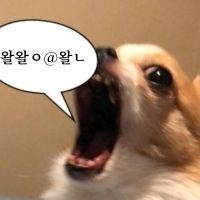 신입) 나 보고싶었지 ㅎ