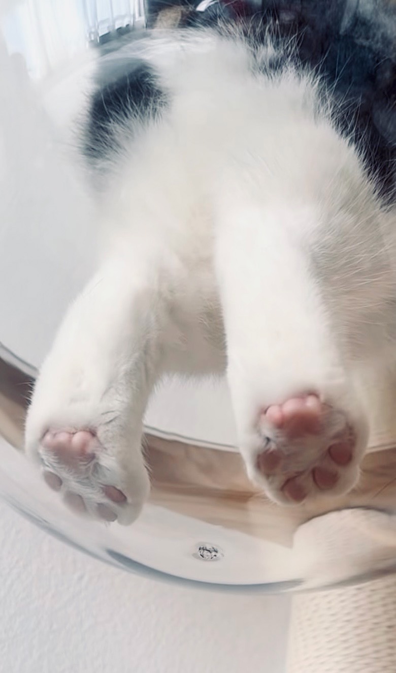 자고 싶은데 잠이 오질 않나요?