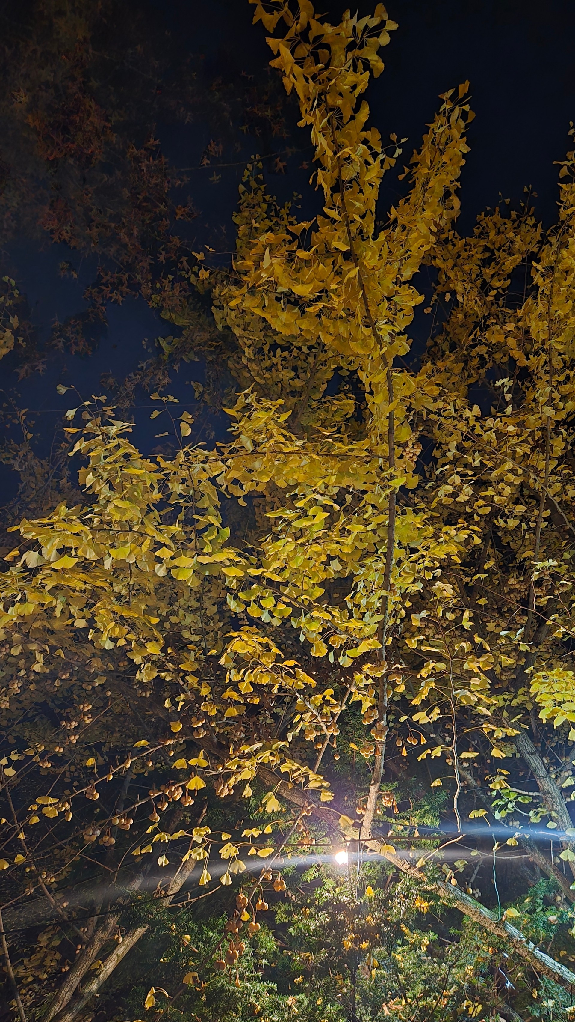 소통의 밤🌙