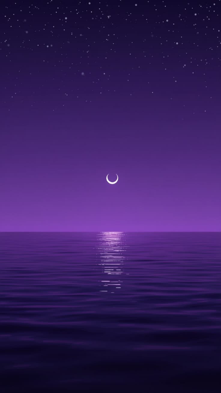 [PLI] 잔잔의 끝자락
