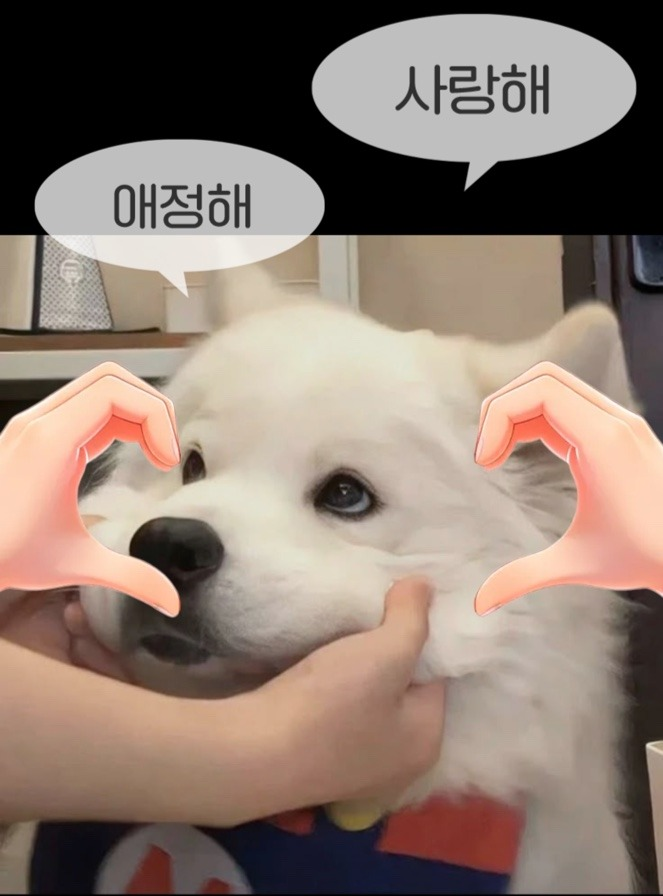 옛날 사람이 노래하는 옛날 노래