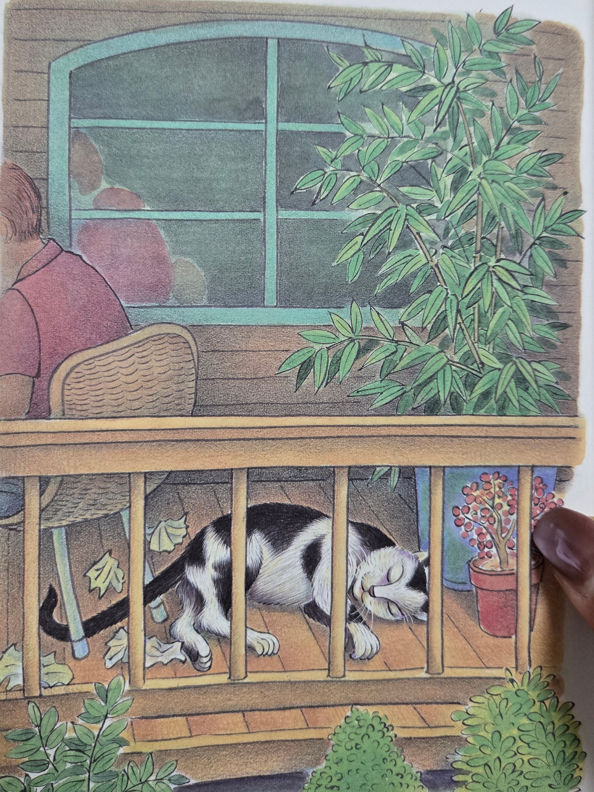 갈매기에게 나는 법을 가르쳐준 고양이