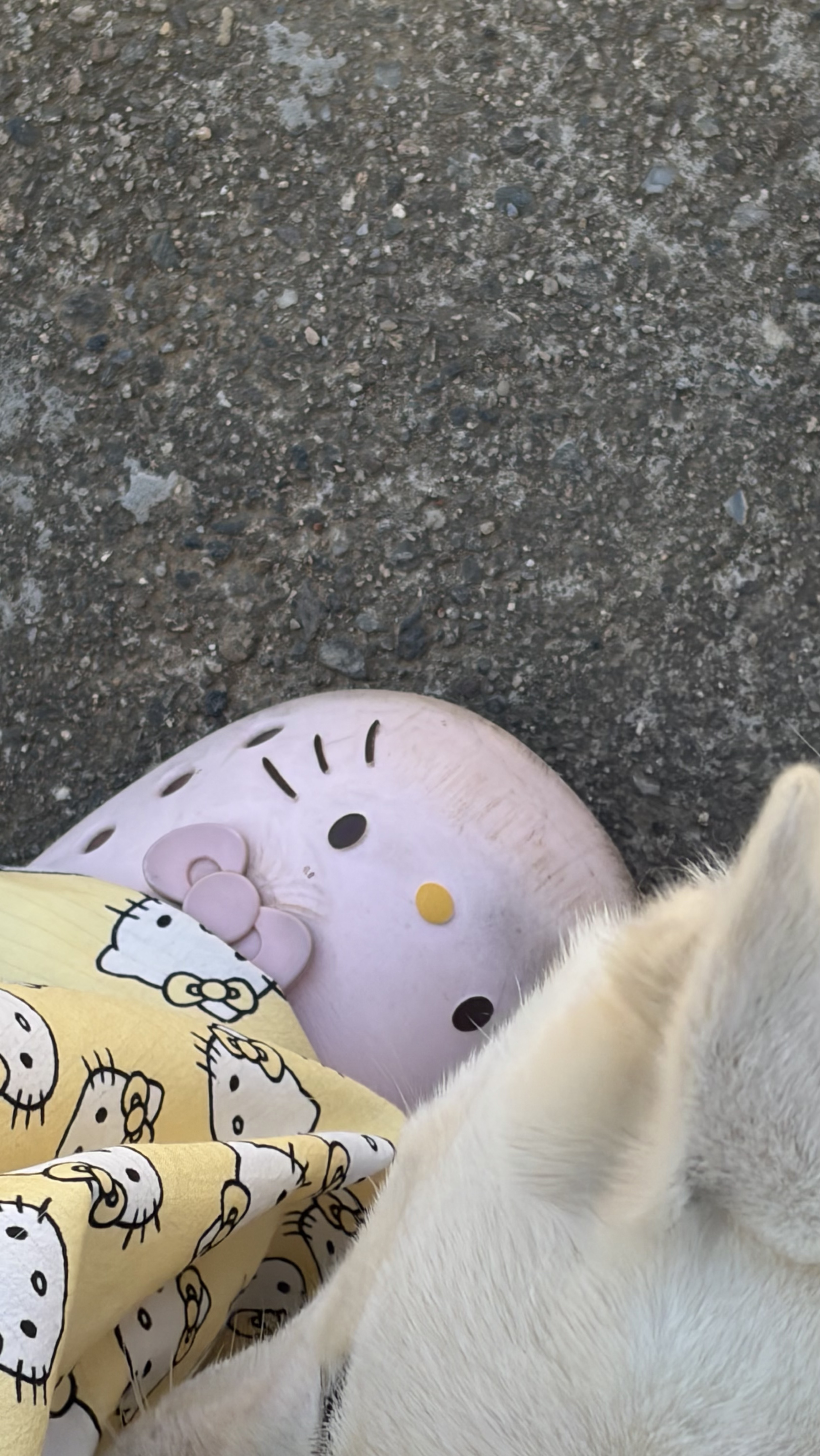 잠깐킨거임이슈