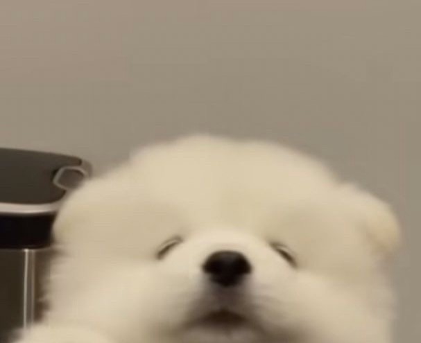 안녕핫세용⠀⠀