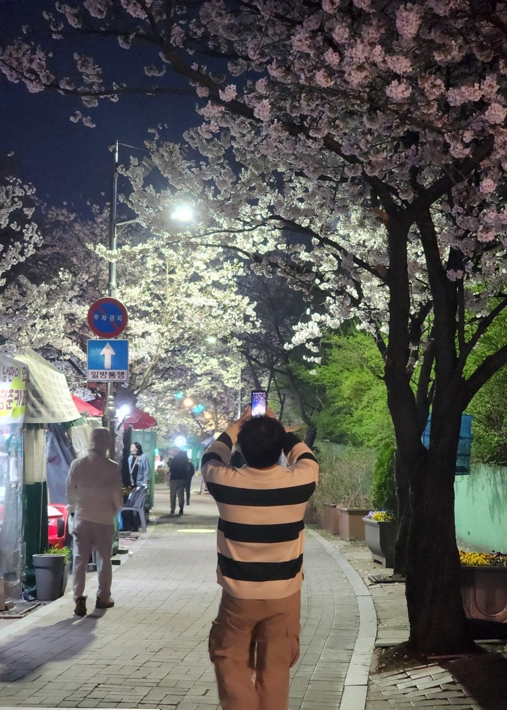 노 오 래