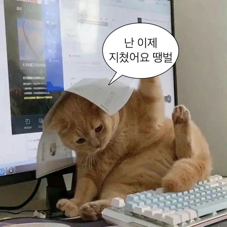 마감~ 6시 짭선비