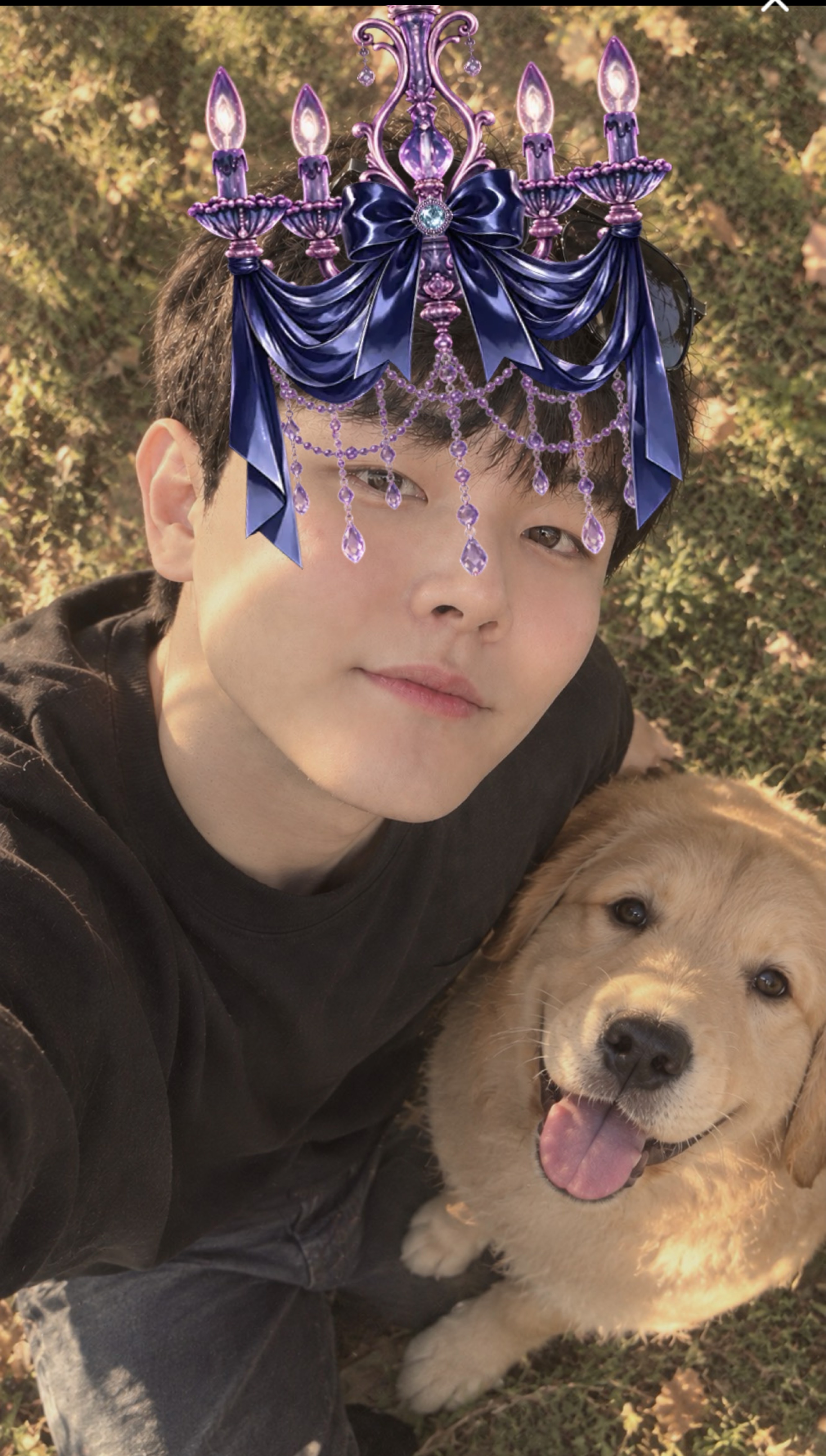 삐뽀 삐뽀🚨