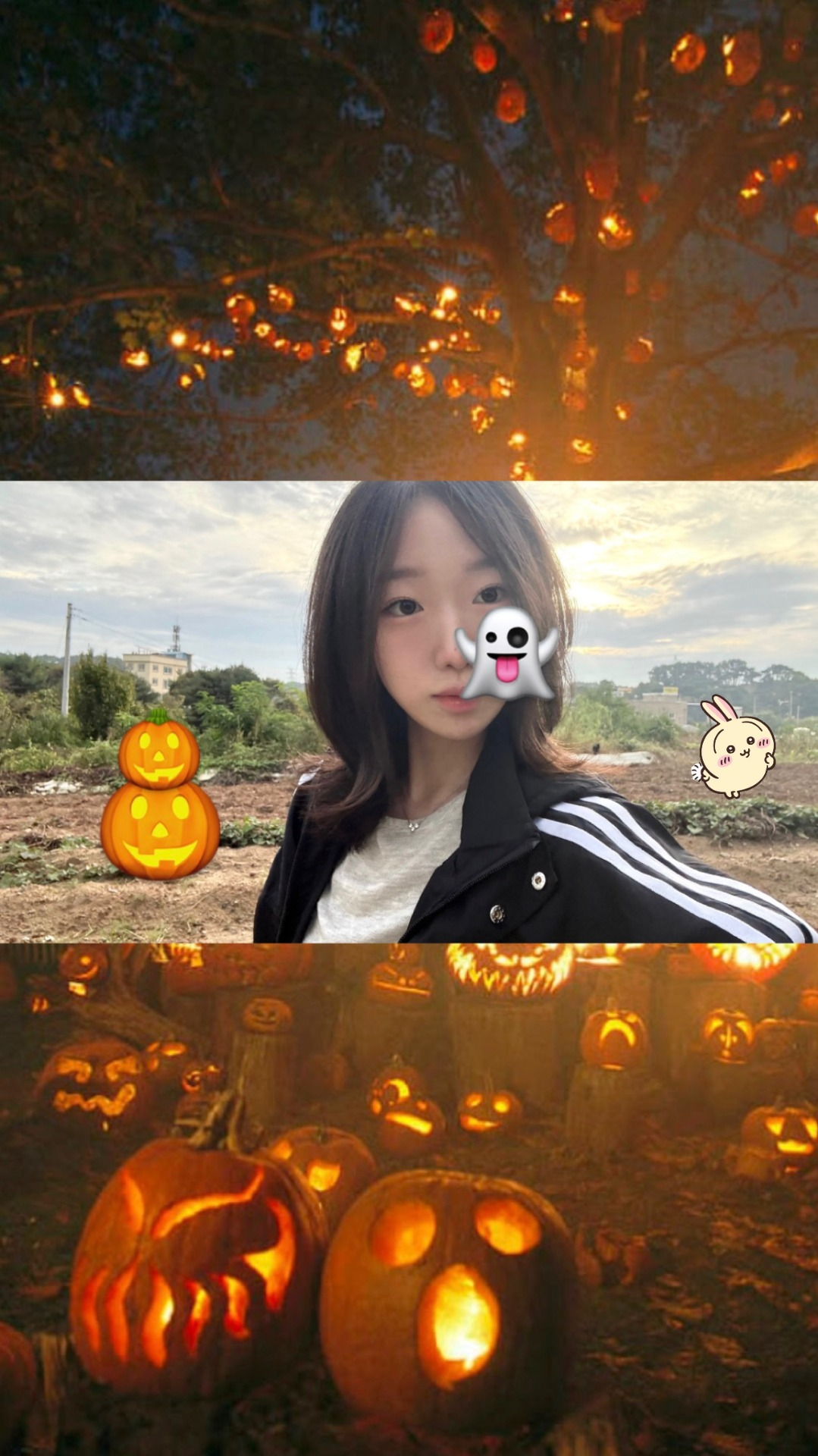 행복하세오