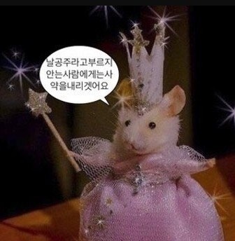신입) 이쁜 곤듀님한테 조아리세요