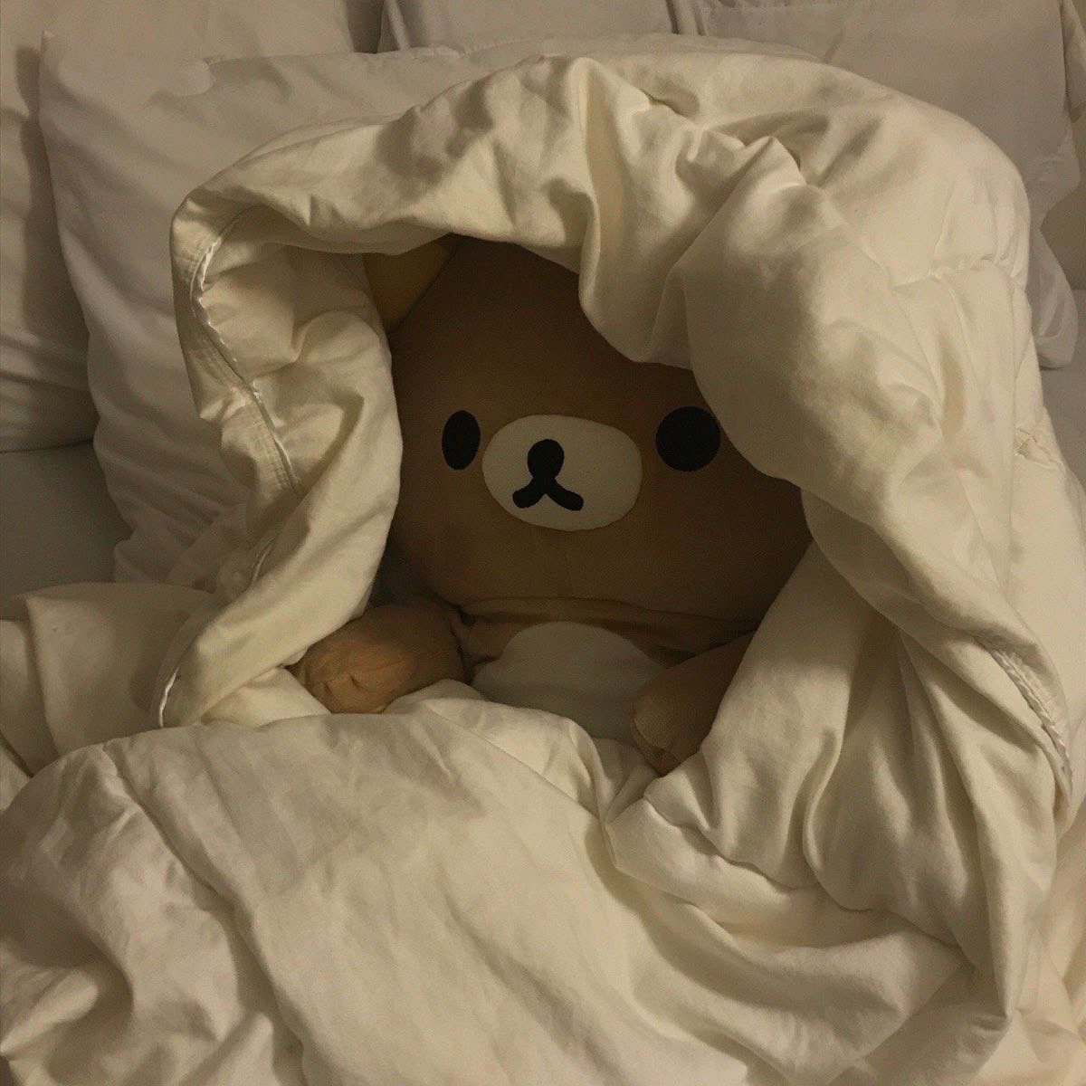 🌙잠방🌙
