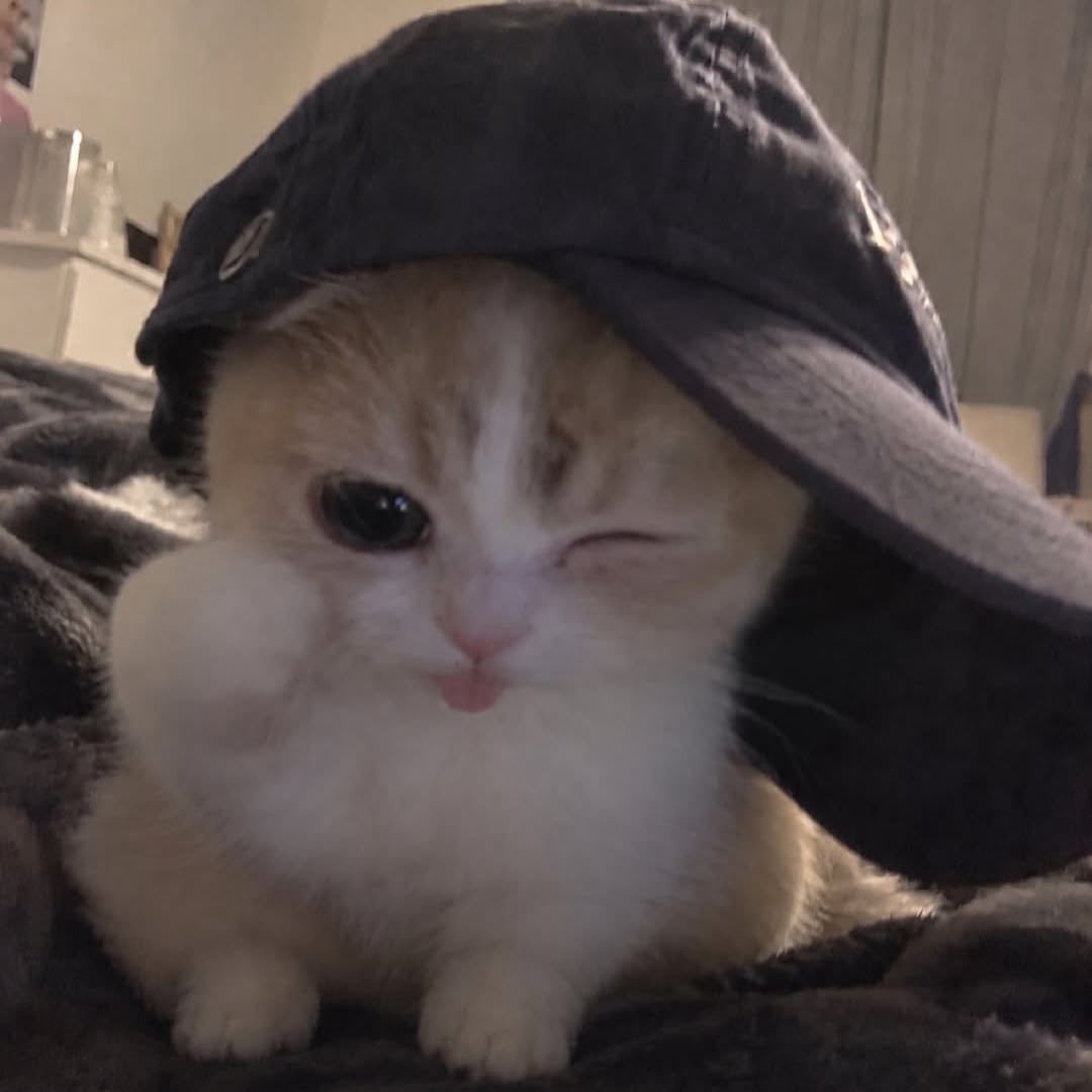 할로윈