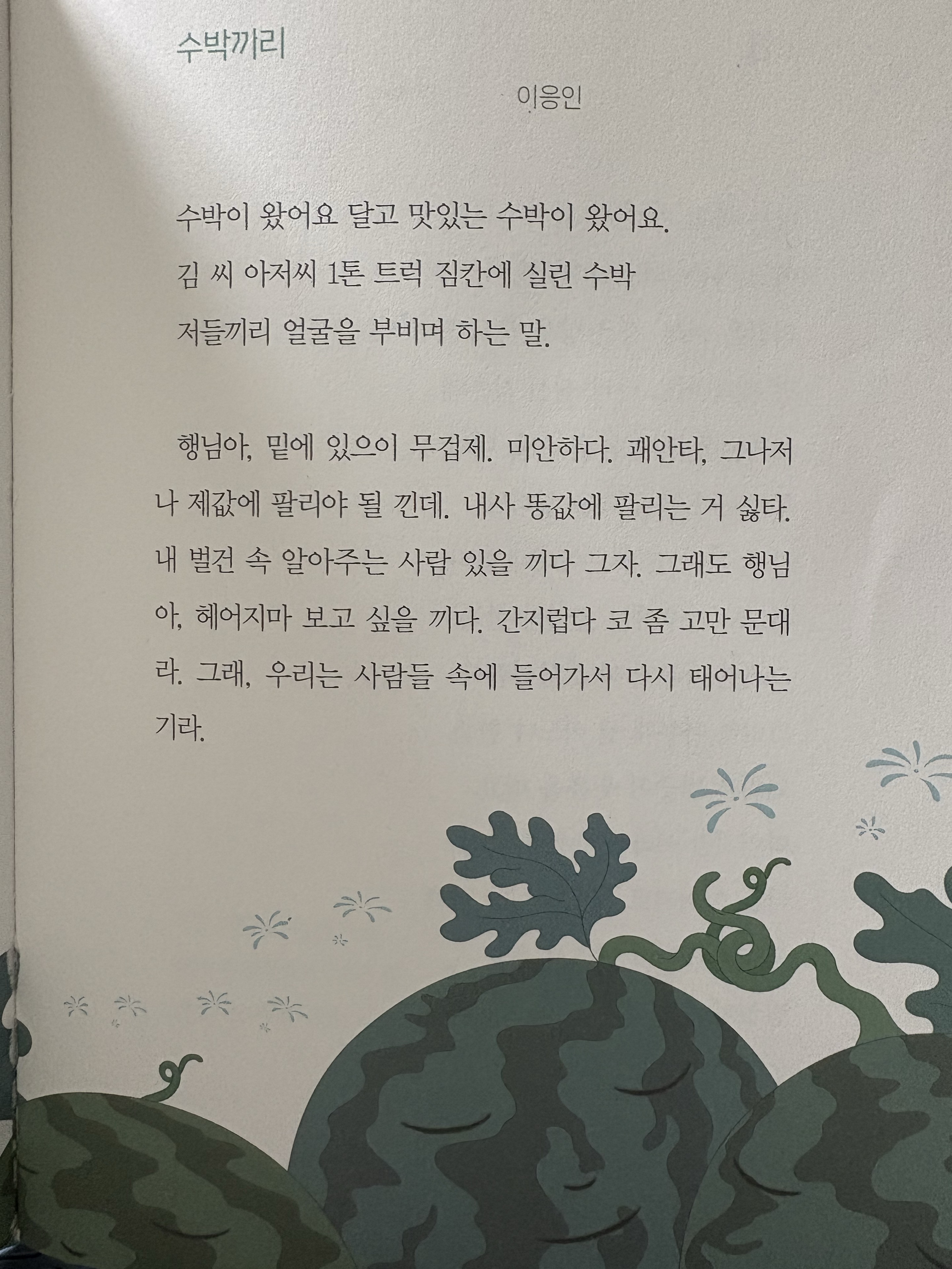 자유를 만끽하라