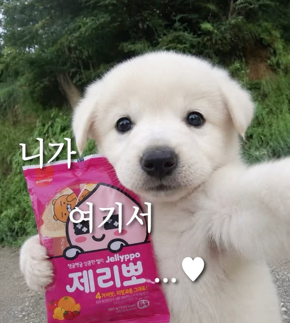 안녕하니 ,