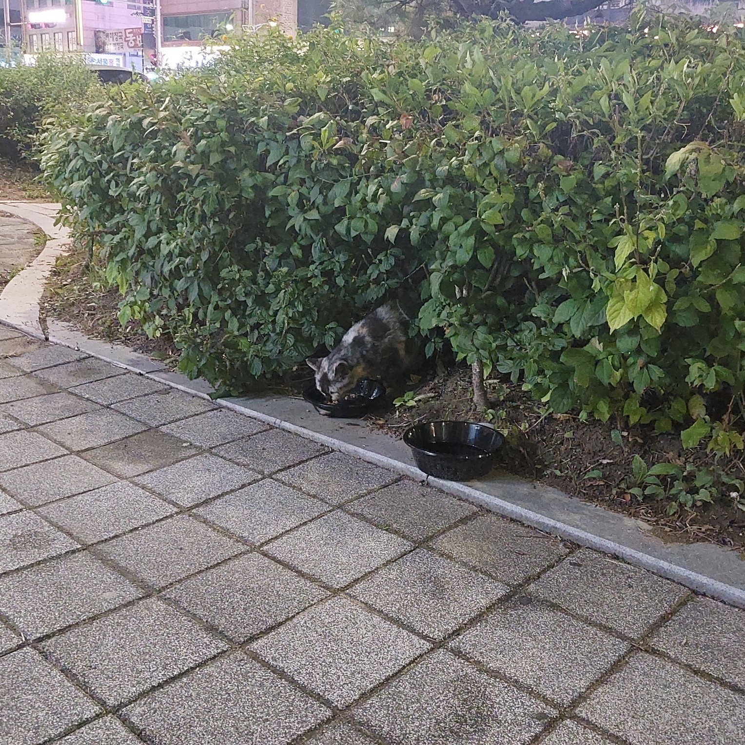 POST