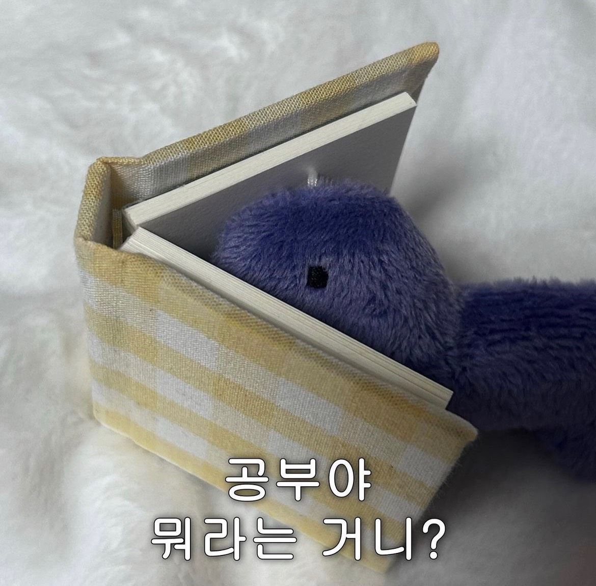 스푼 | DJ 댕댕님의 채널