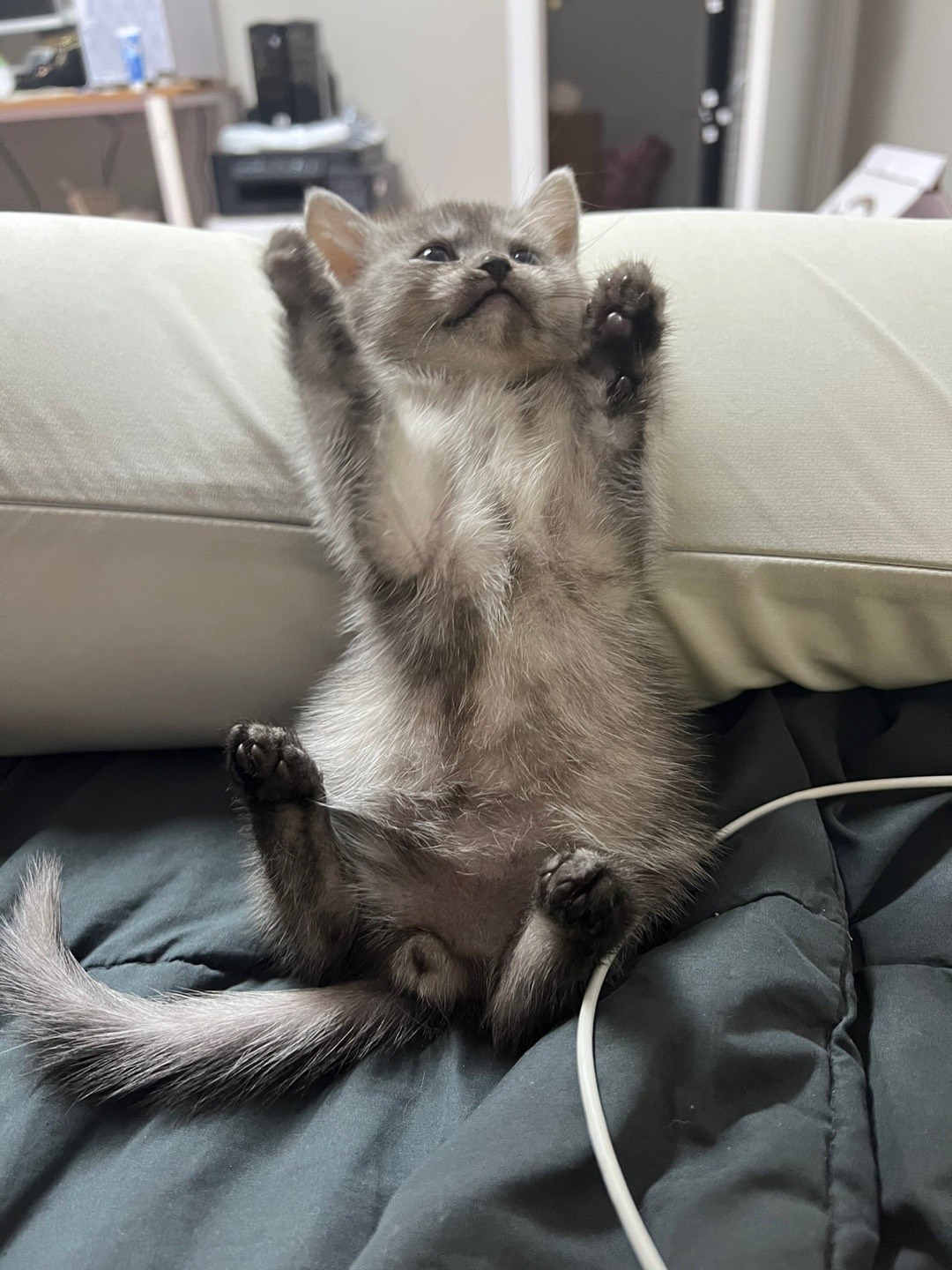 POST