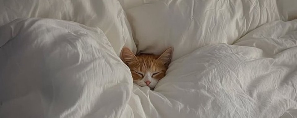 𝔽𝕃𝕆𝕎__𝐋 🎩 🎤