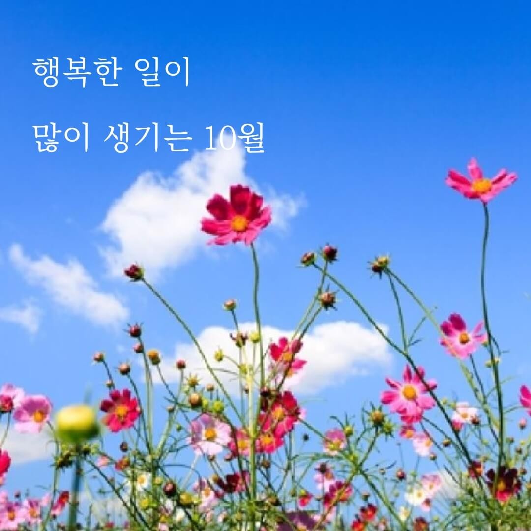 ๐ทAngel Song๐ตCCMโ๏ธ