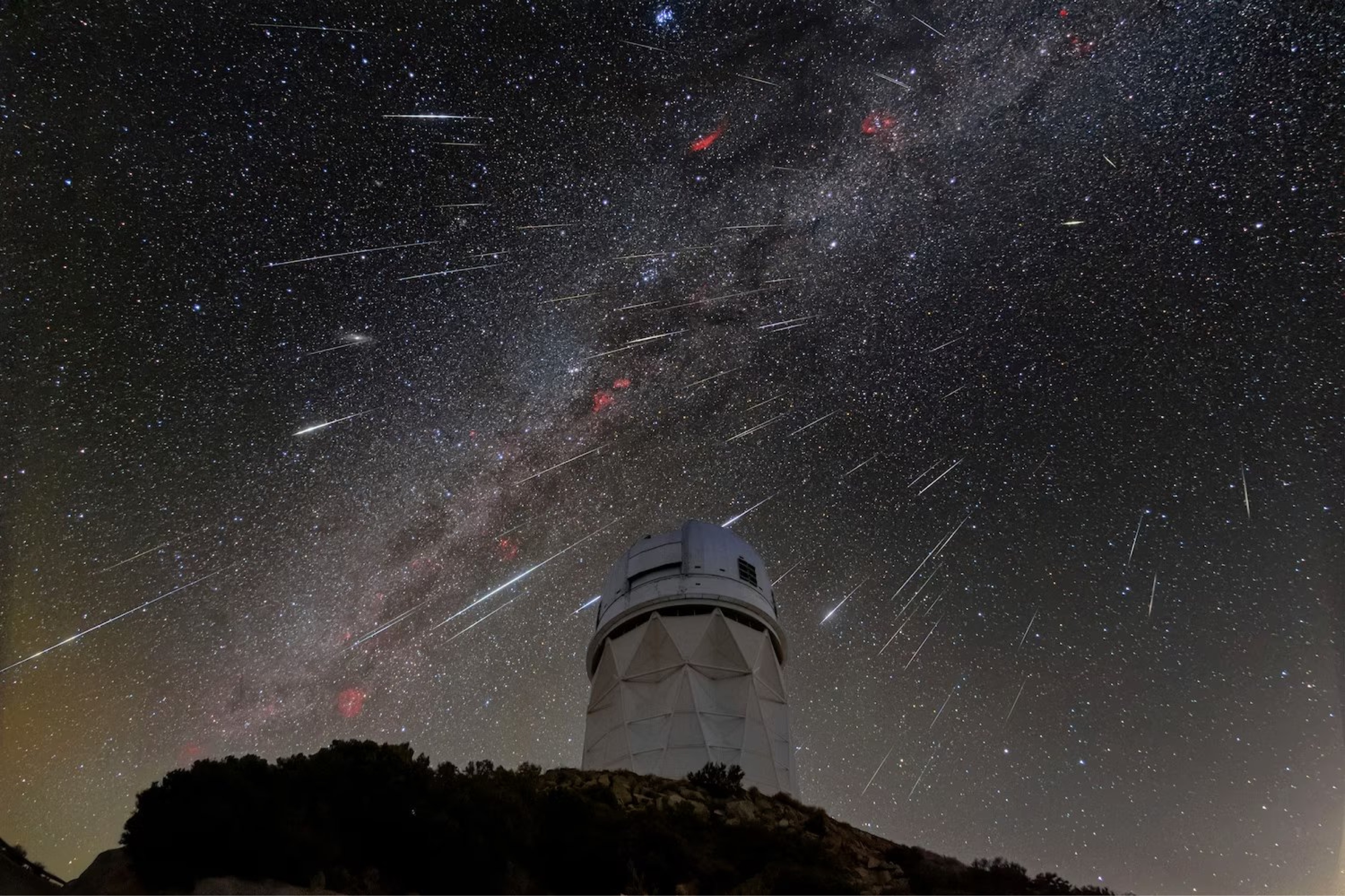 조은범벅 이 라 온 ♡̷̷̷ᩚ