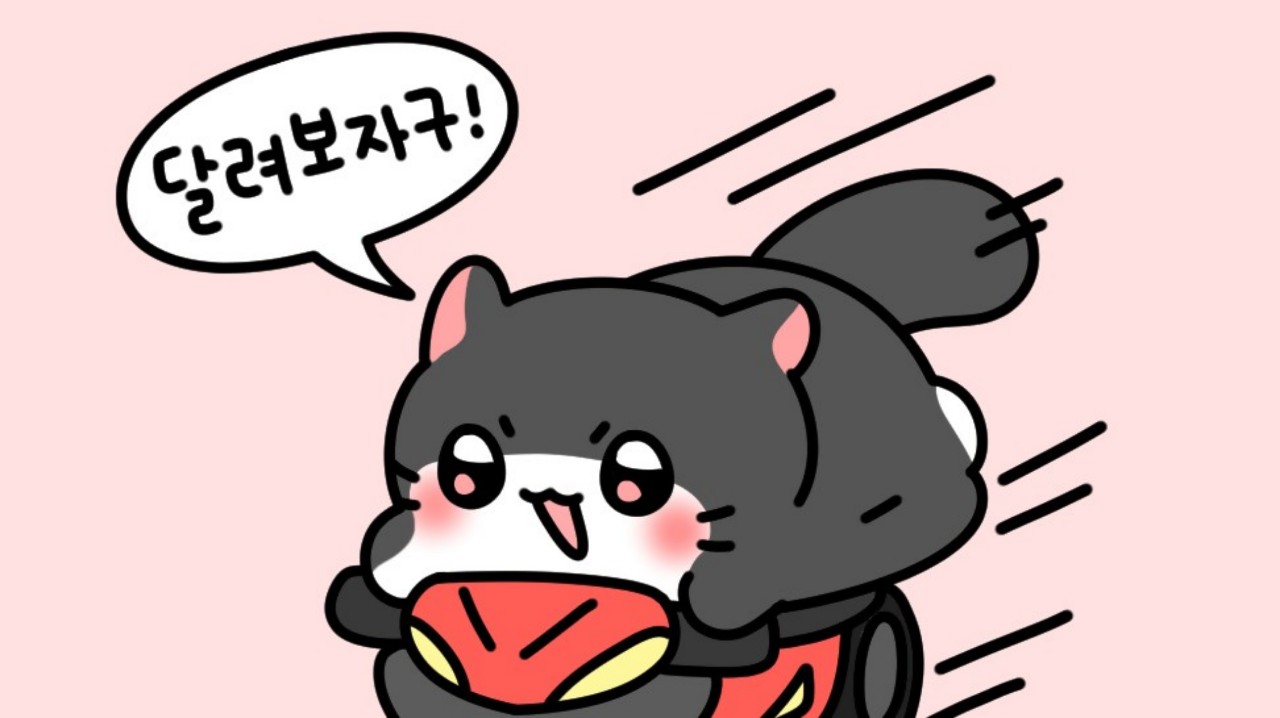 퓨아✨