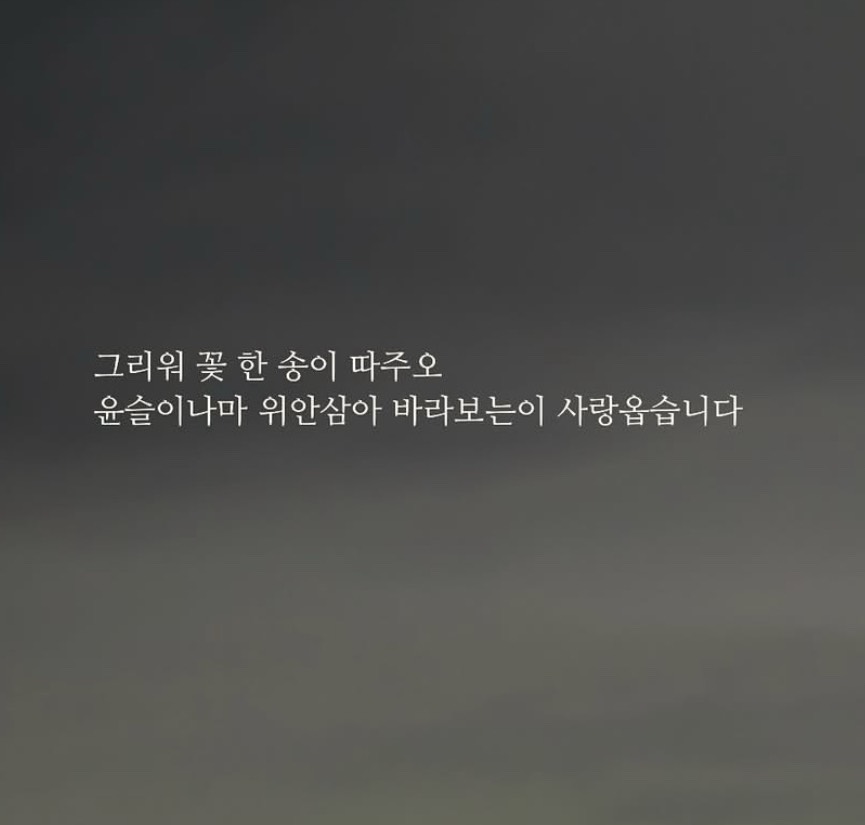 모릅니다¿?¿