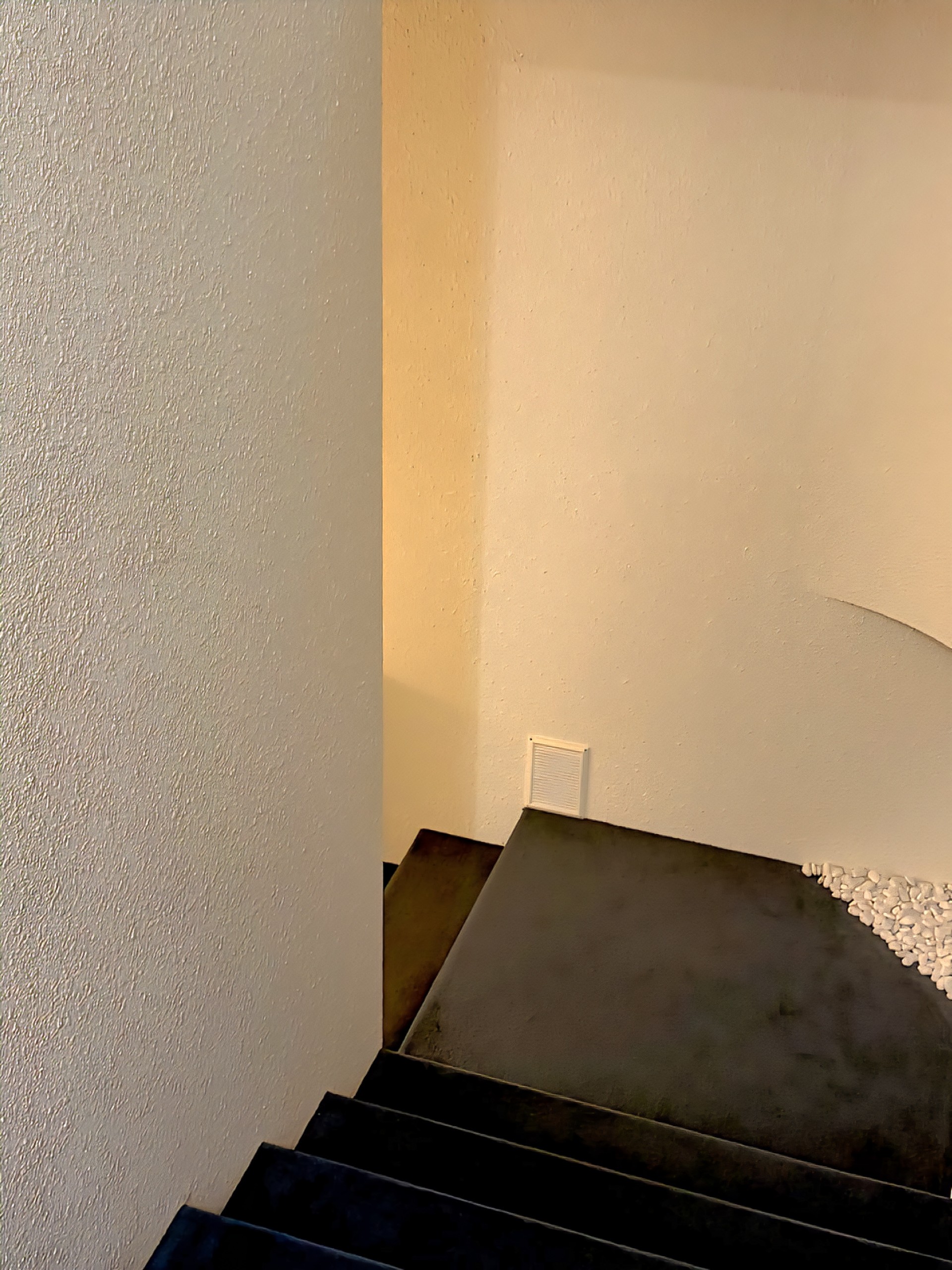 ☕️ও𝒟𝒶 𝓑𝓮𝓪𝓷੭.