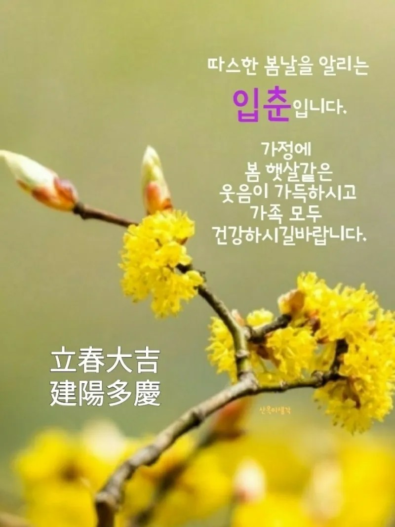 ๐ทAngel Song๐ตCCMโ๏ธ