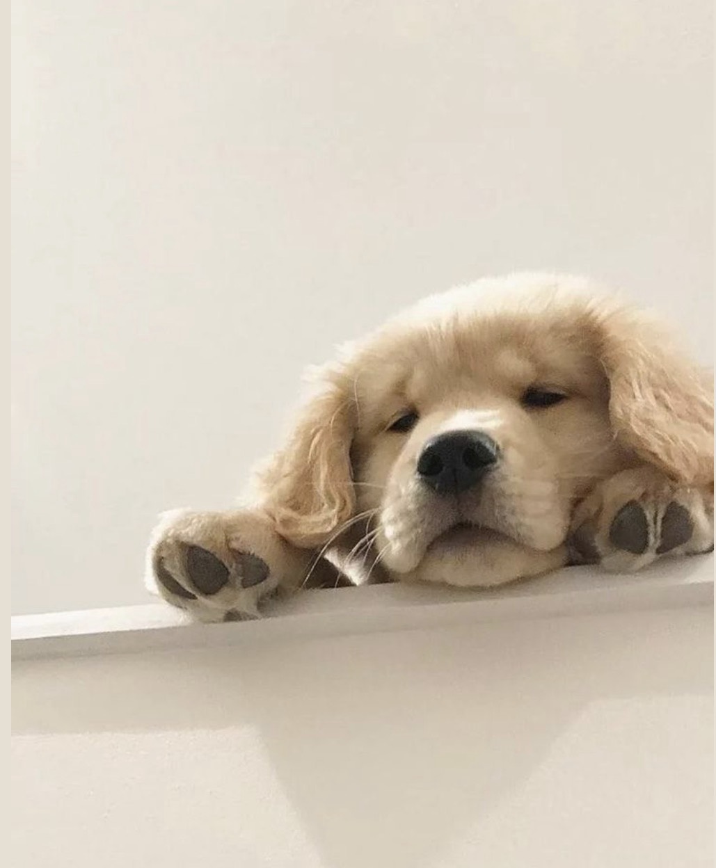 한 월 ⸝⸝ . ִ ֗☁︎