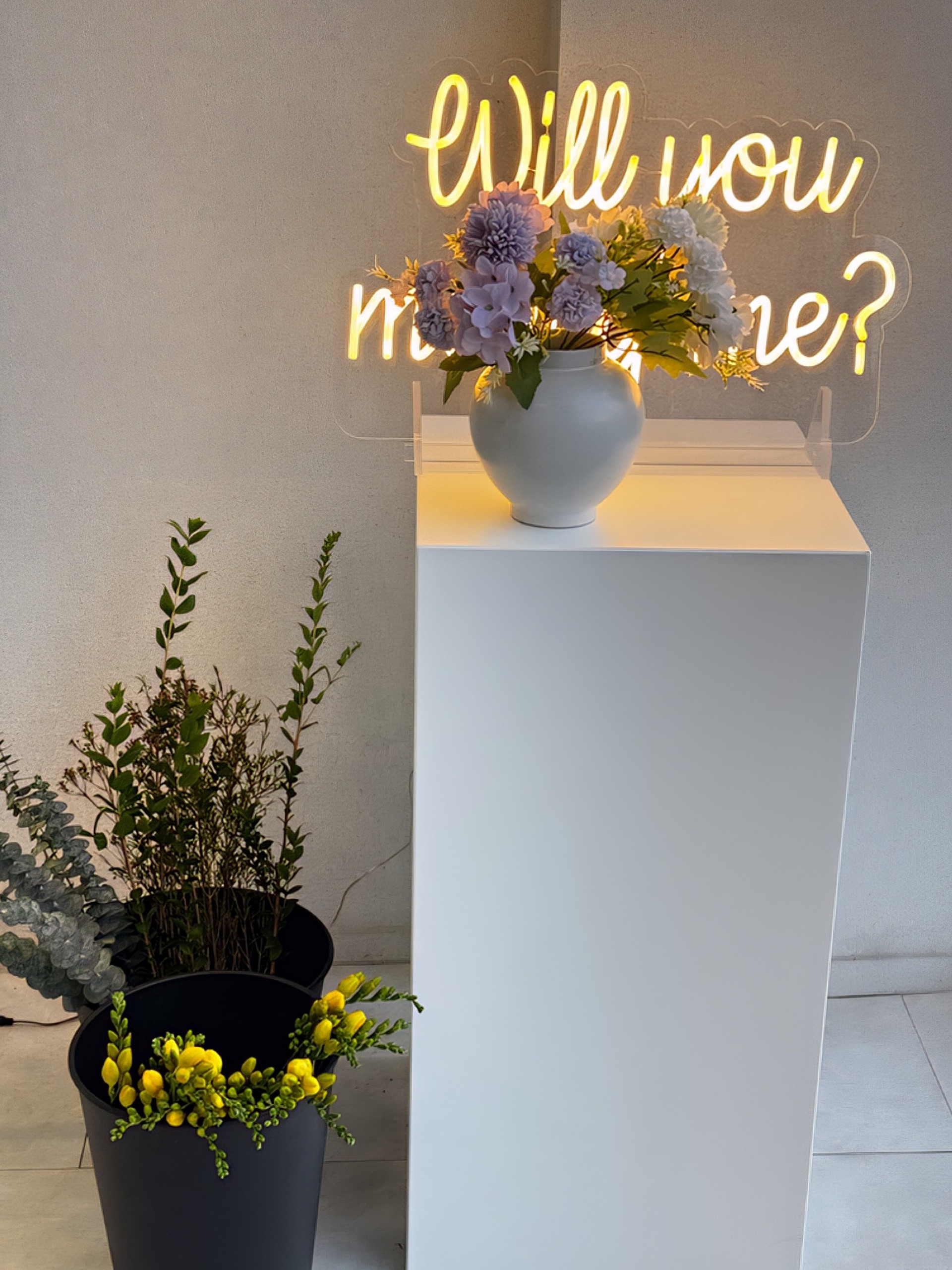 ⚘️ও𝒟𝒶 𝓑𝓮𝓪𝓷੭.