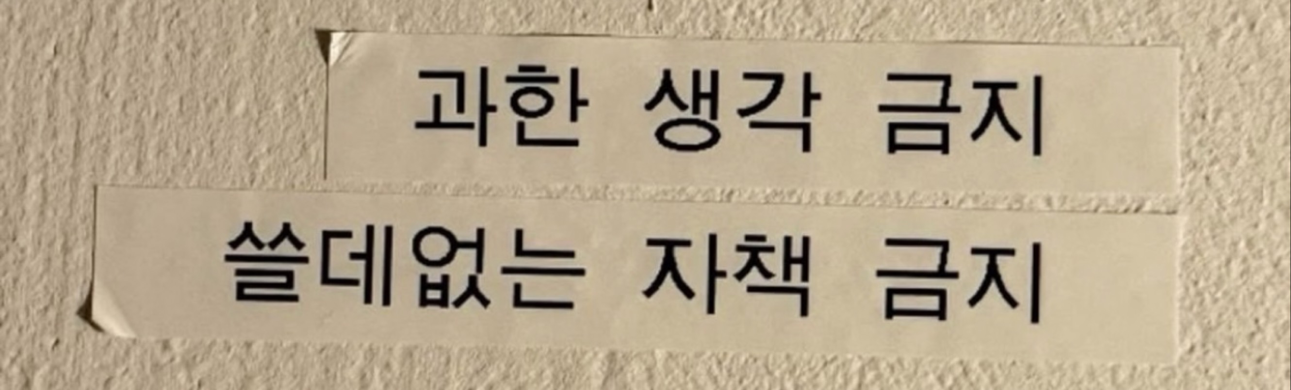 𝐌𝐨𝐨𝐧𝐥𝐚