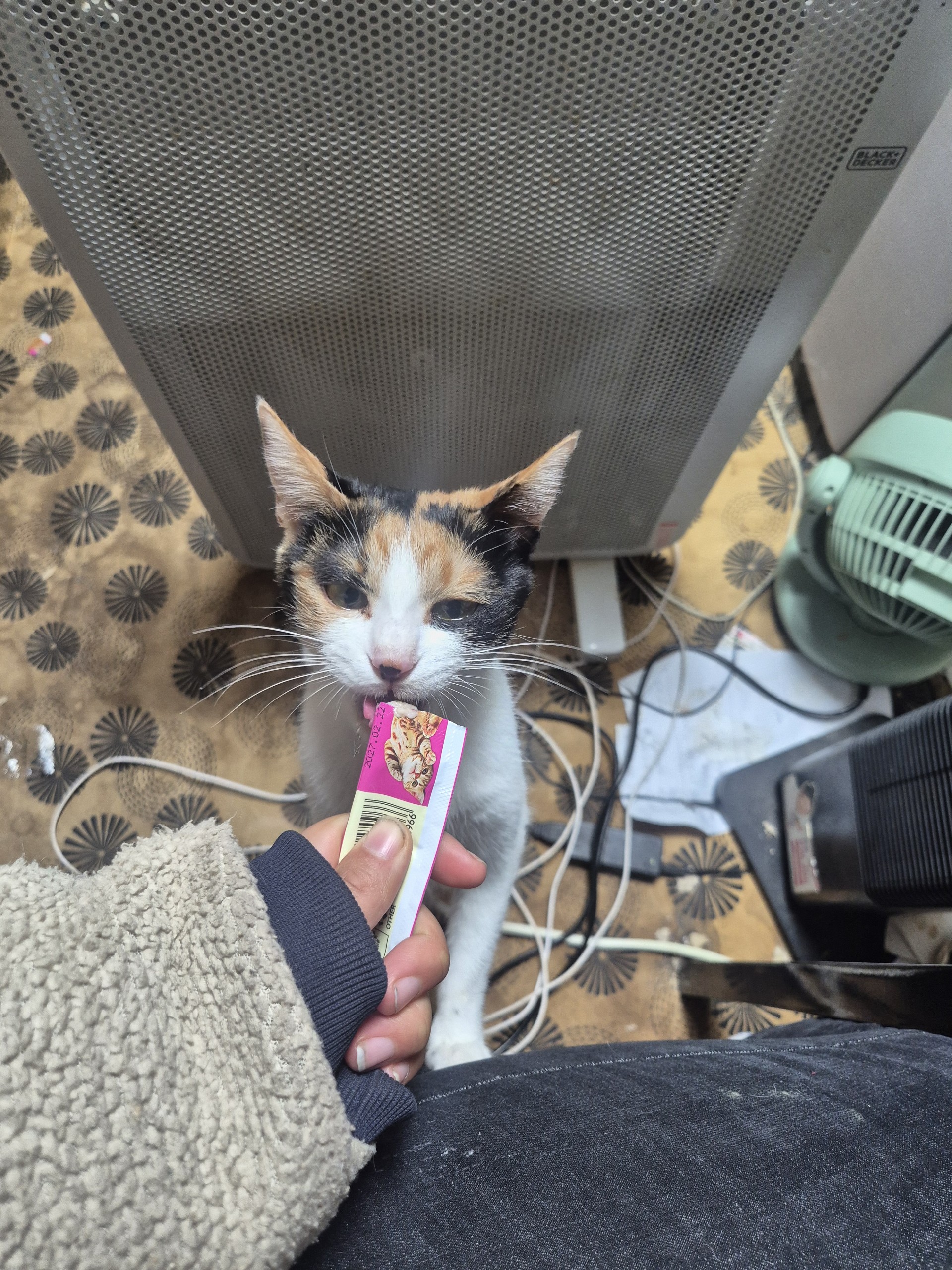  ₒₙᵢ 나린 ♔ ✰ ⚘