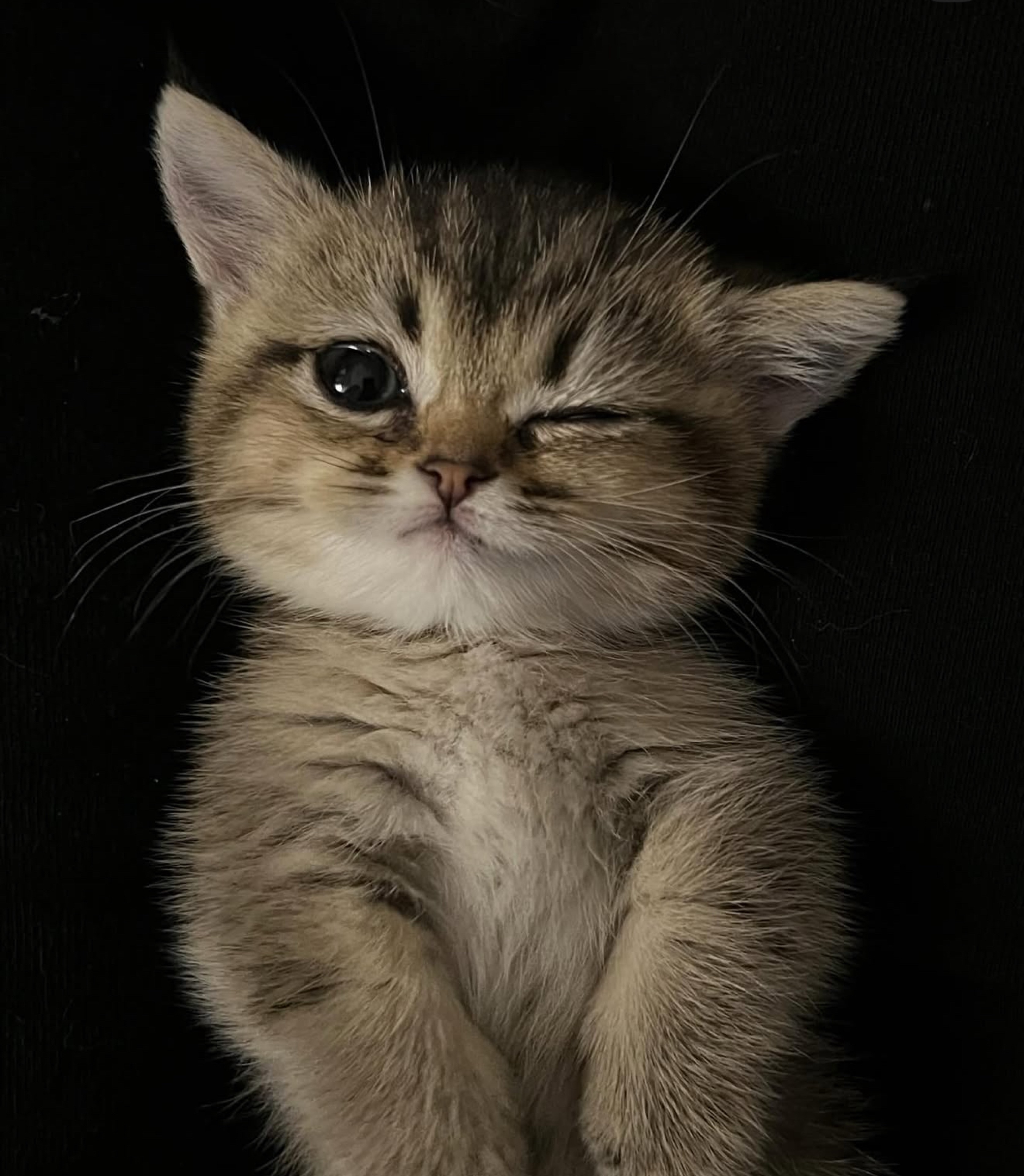 𝑆𝕦𝕫𝑦🐚*・ﾟ✧