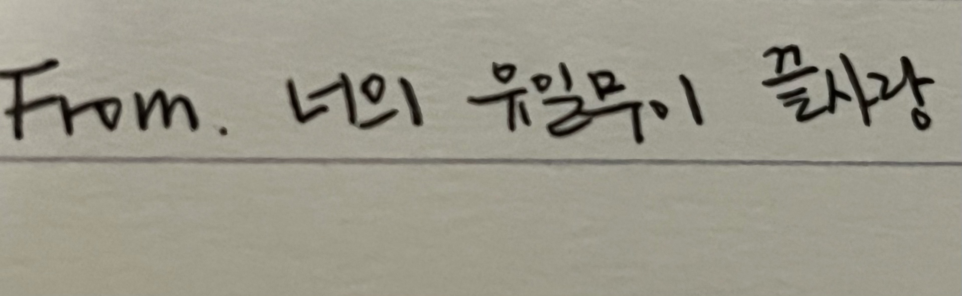 멍텅굴이 ˙Ⱉ˙