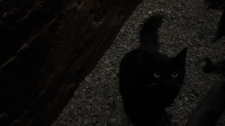 ๐๐๐ ๐ค ยท.้ป