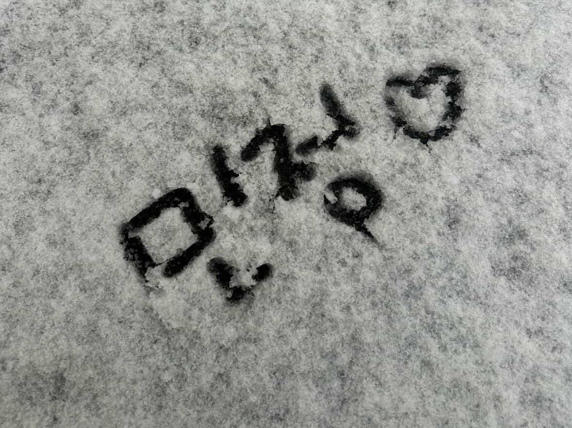 /ᐠ •̀ ˕ •́ マ