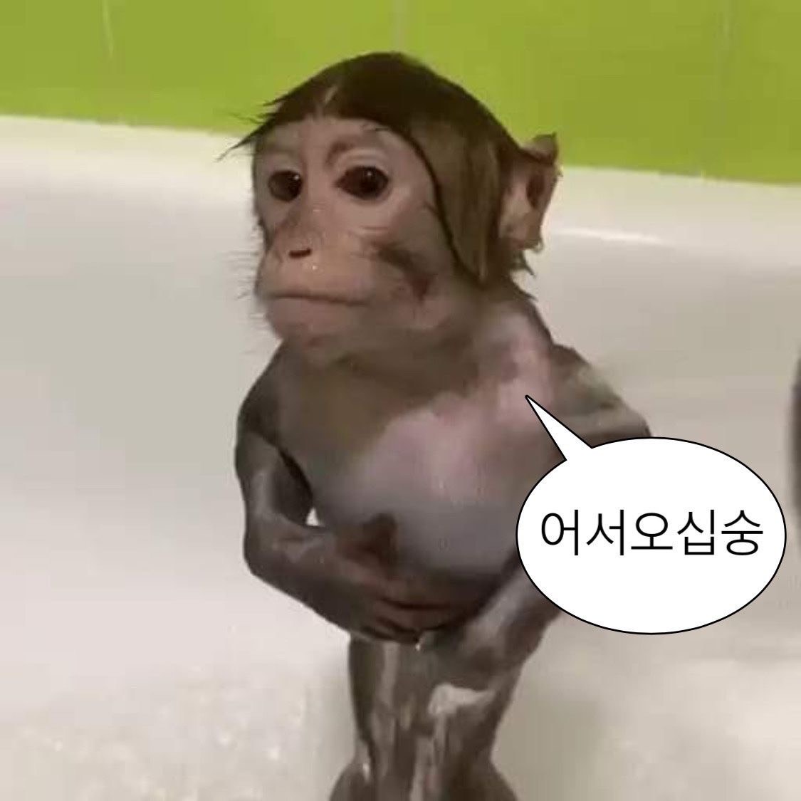 대치동 컴싸도둑