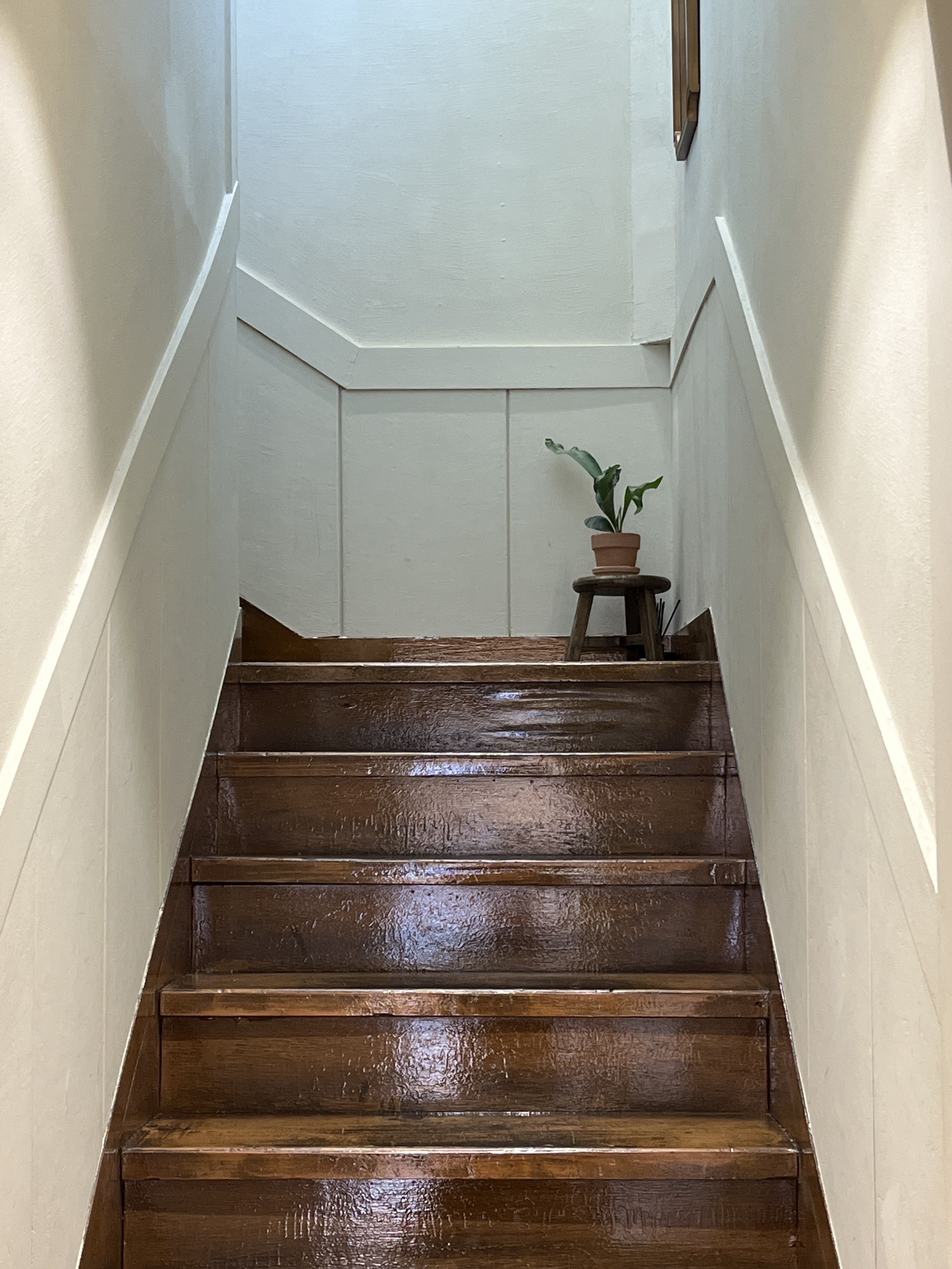 ও𝒟𝒶 𝓑𝓮𝓪𝓷੭.