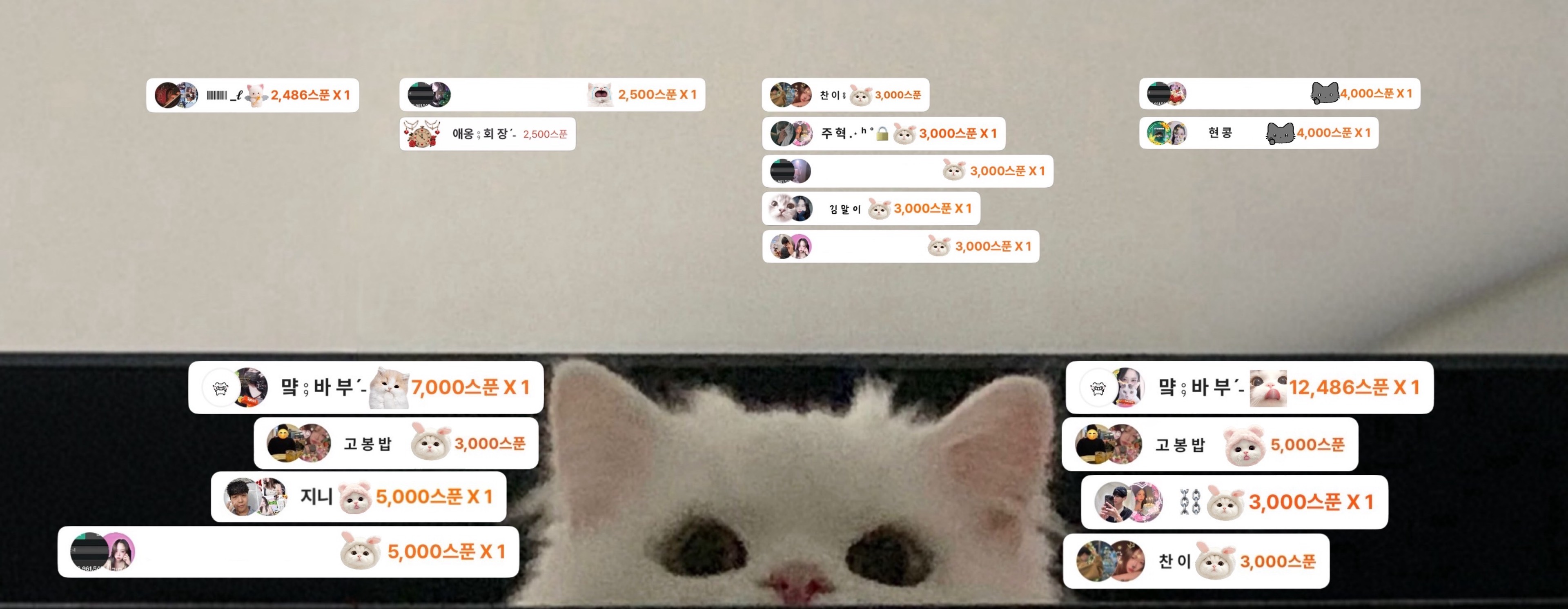 애 옹 ⨾ ྀིﾏฅ