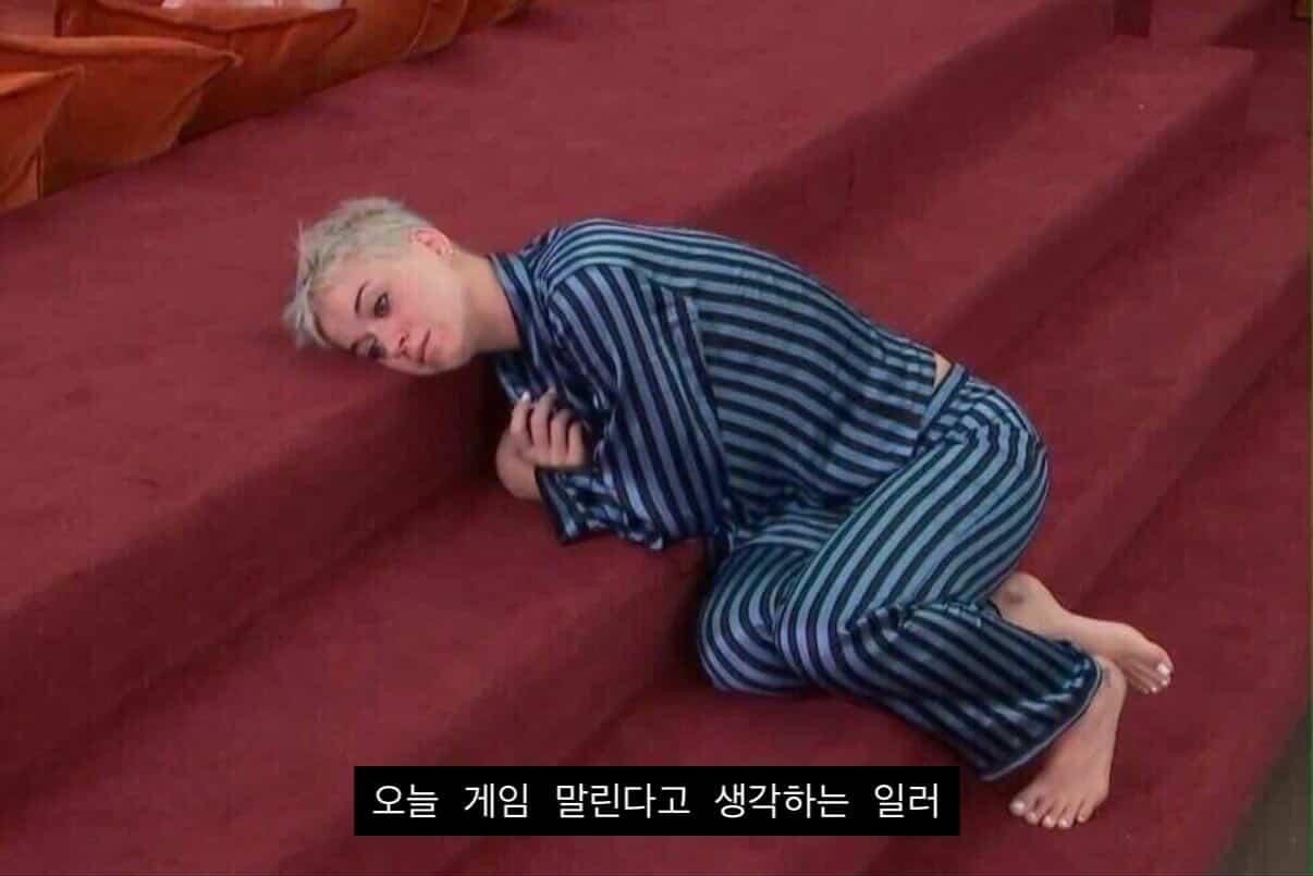 일러 .𝘩 ⁵⁄₇✧