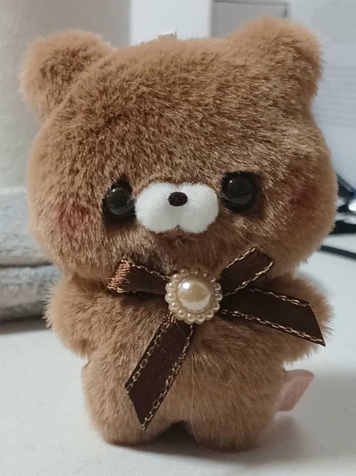 갈색곰🧸(🍡🍰➿⧶⋄❅⍣