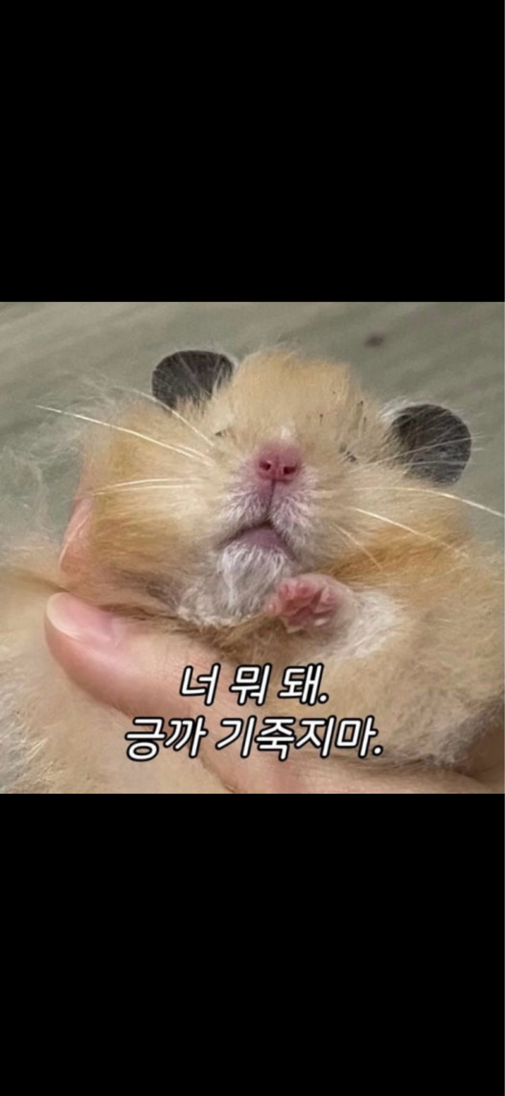 ᵁ 업 포 테 토 남 ᴴᴮ
