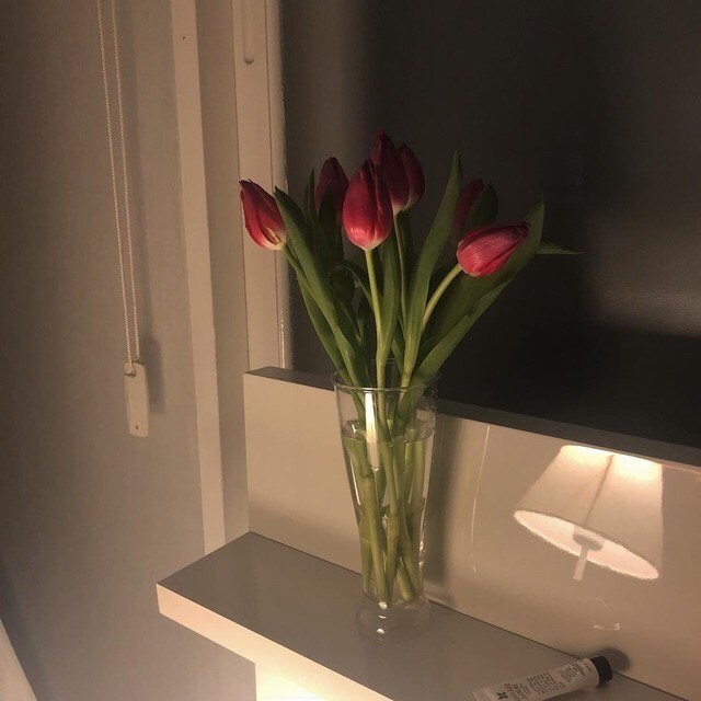 🐶 ˗ˋˏ와와ˎˊ˗ 🐶