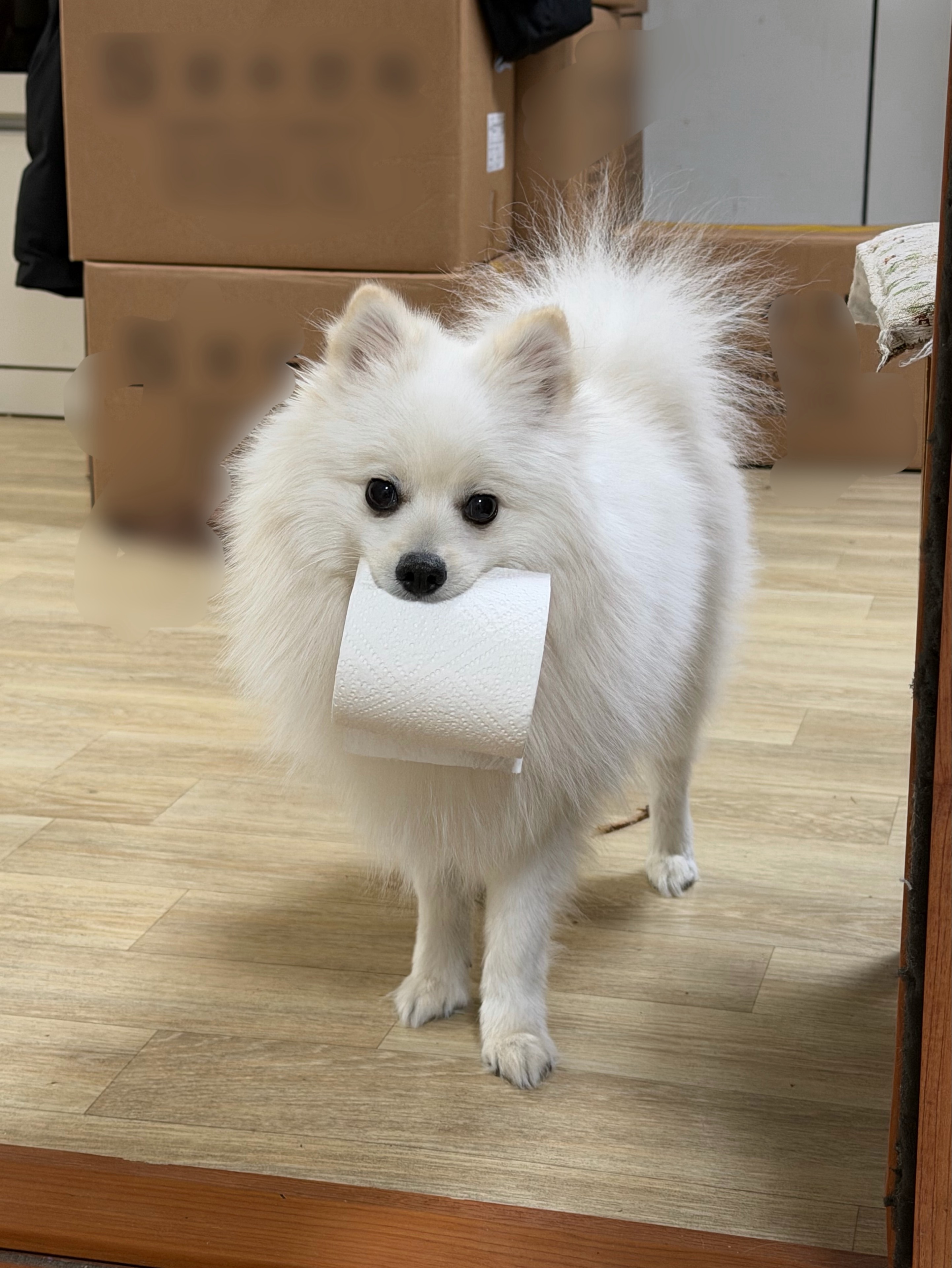 쉼 표