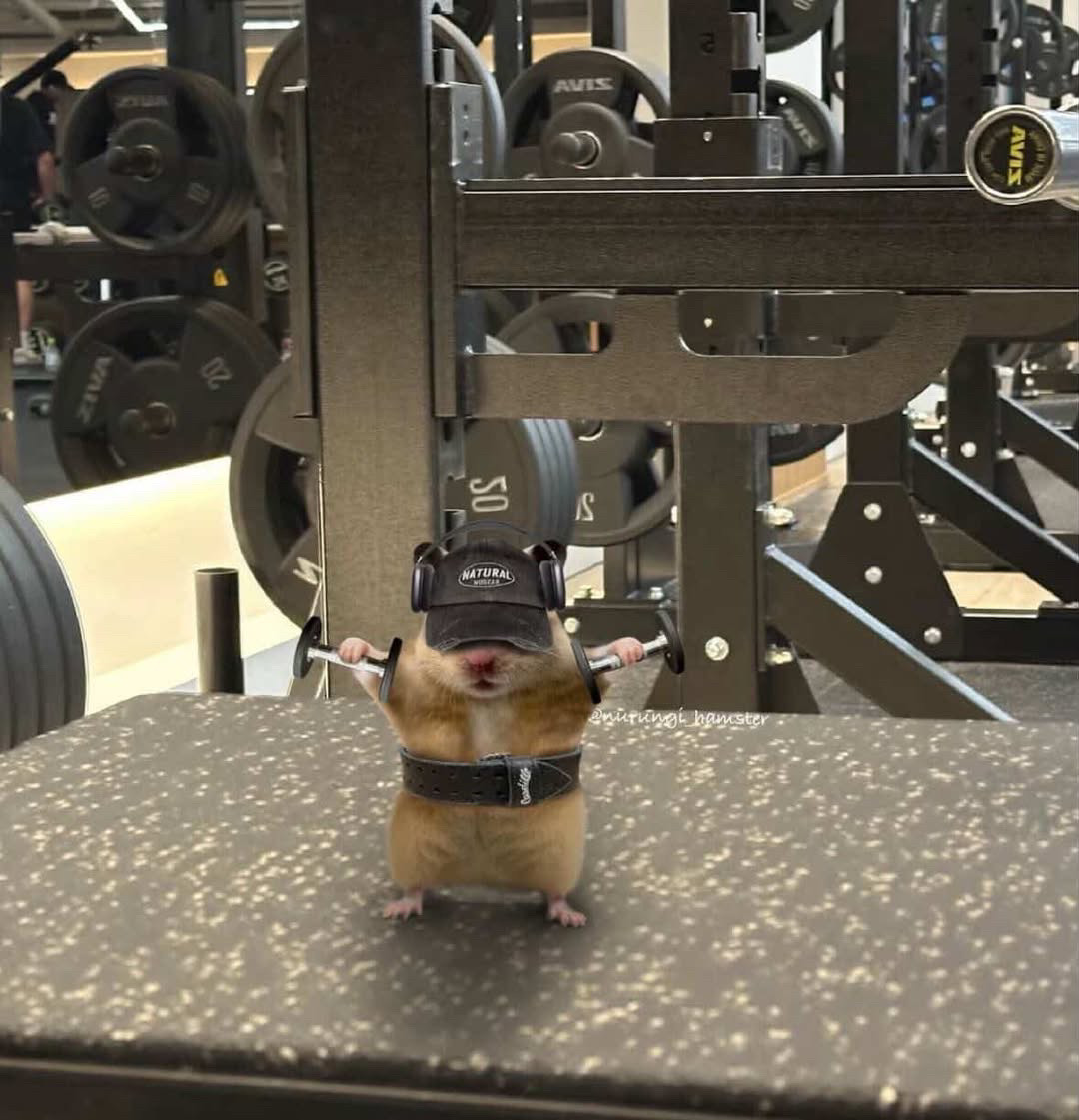 👿😈 ⁿᵒᵒⁿ