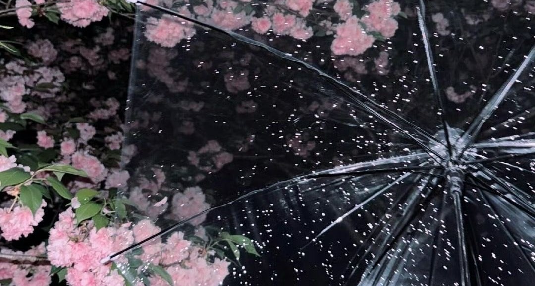 내앞에무릎을꿇고머리를조아려라버러지들아