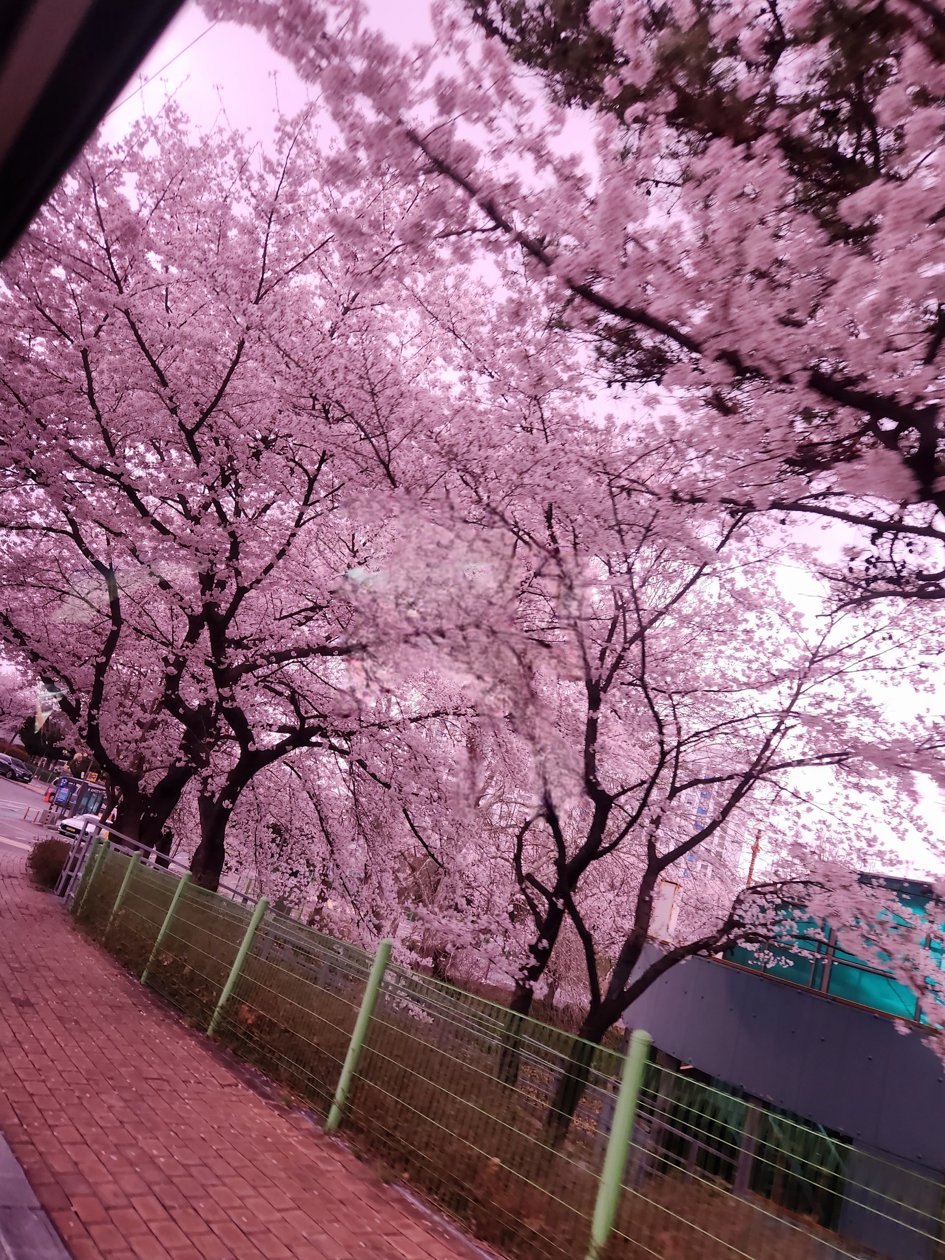 울 츄러스❤️🥨