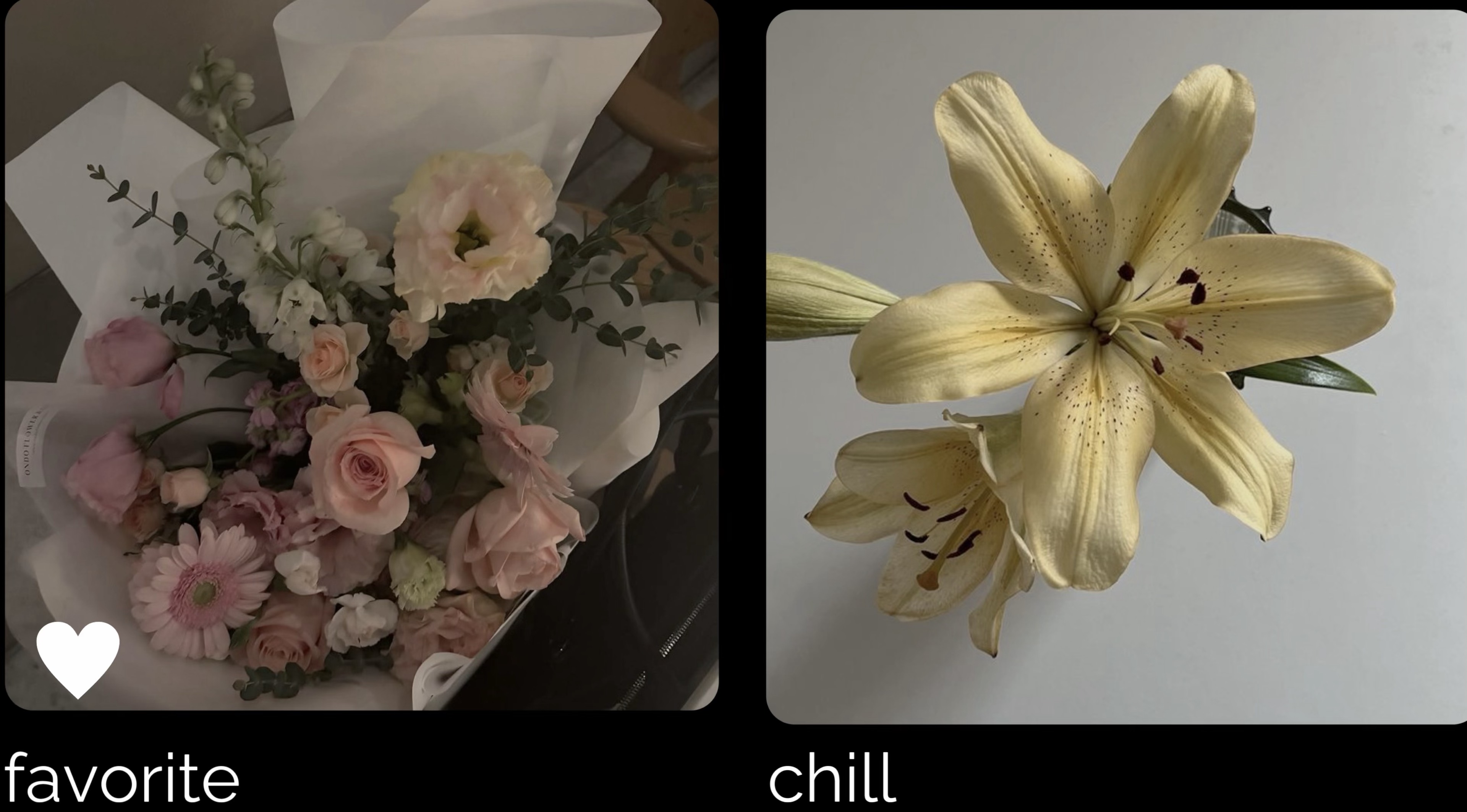 𝙻𝚎𝚖𝚘𝚗𐙚