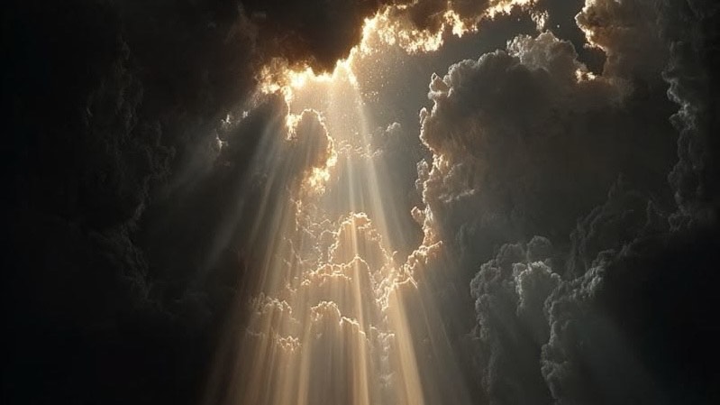 ๐ฎ ๋จ ๐ถ โ๏ธ โงโห