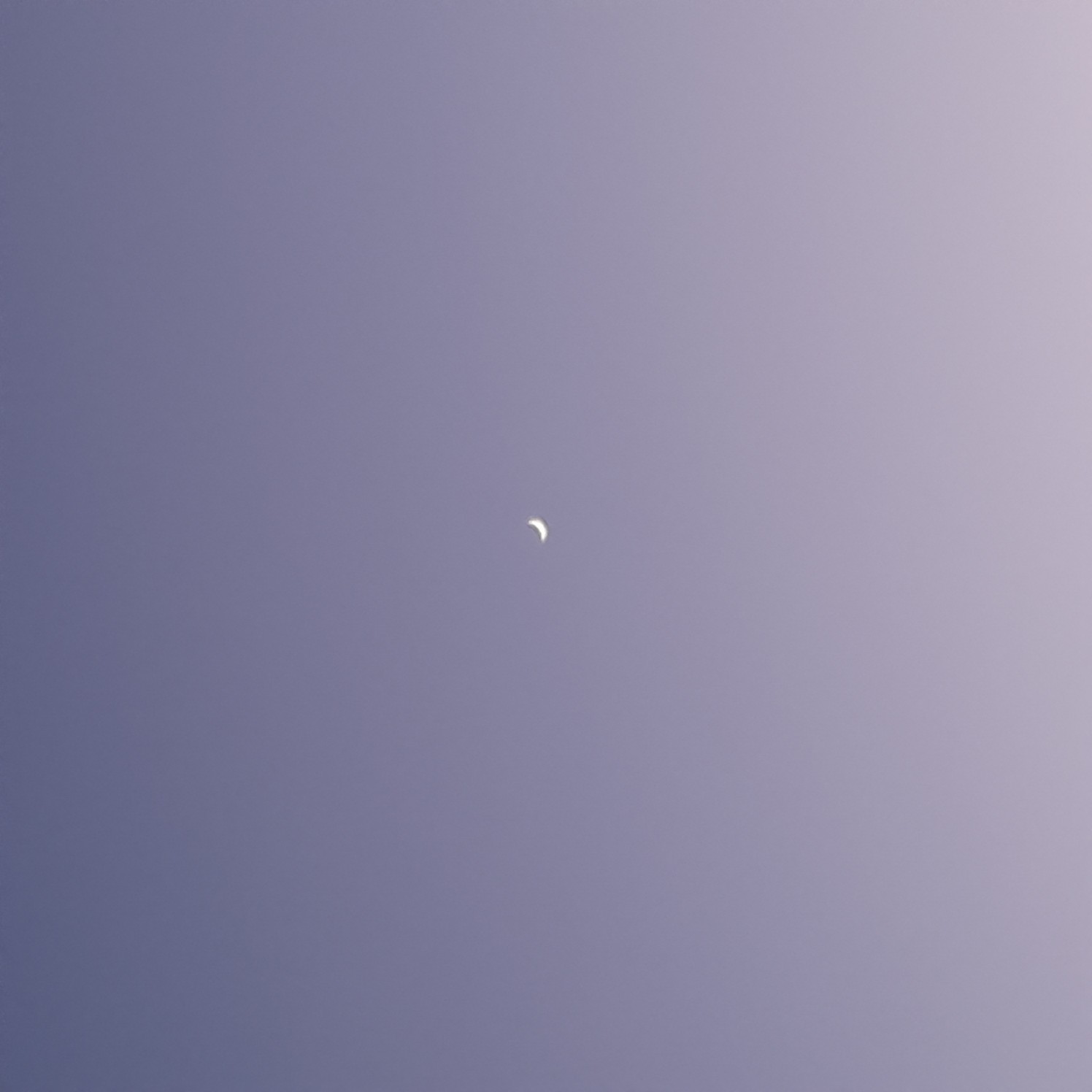 차싱별🌟