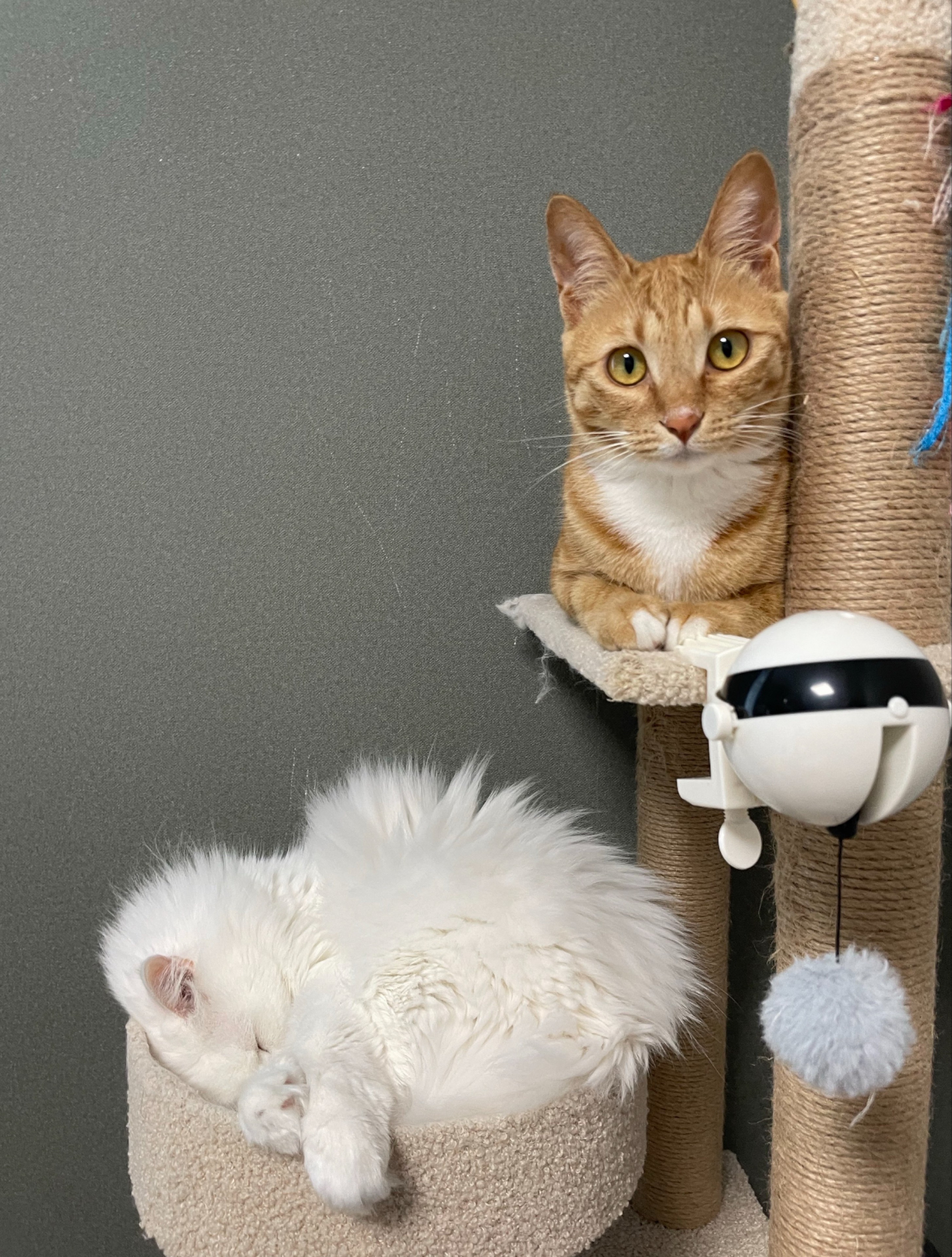 ๐ ํ ~ ์ผ โจ ๐๐